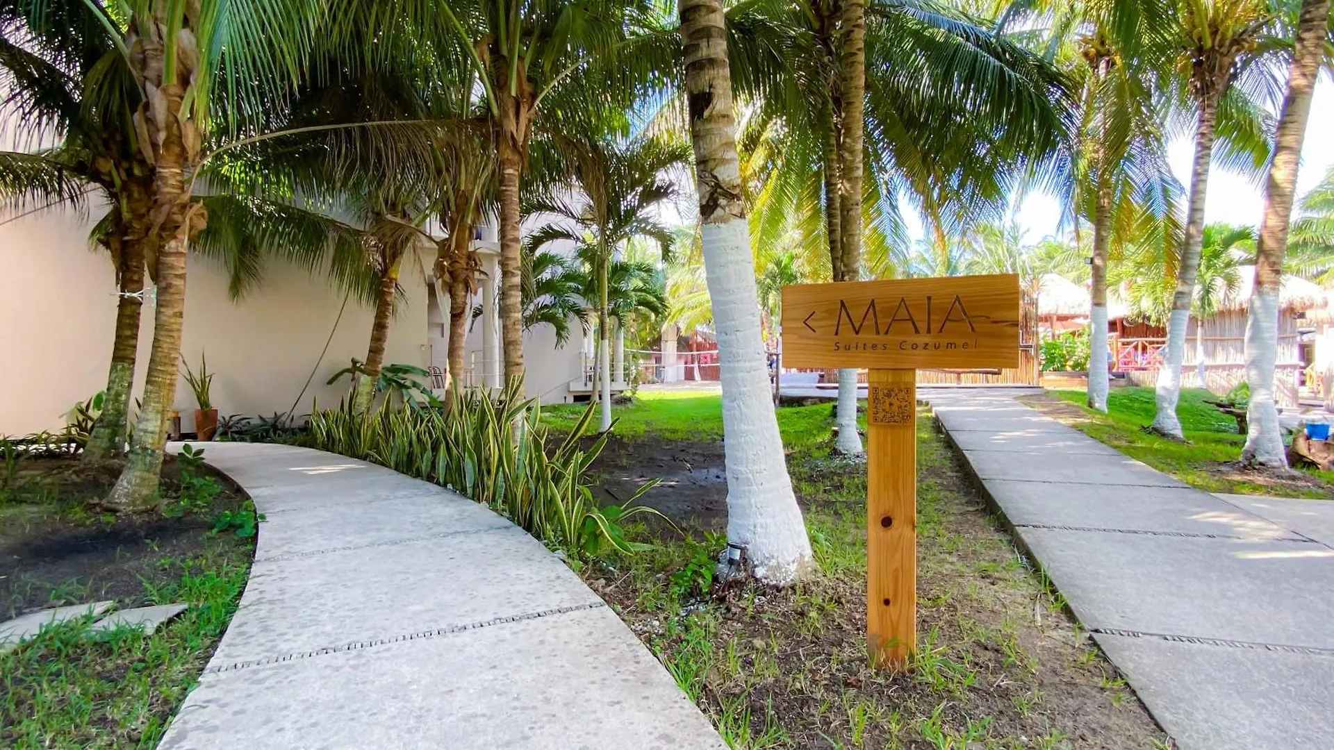 Maia Suites Cozumel